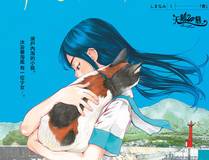 19天 漫画封面